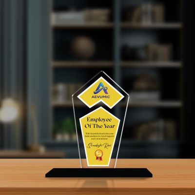 Employee Recognition Personalized Acrylic Award Trophy Custom with Name | Achievement Award for Employee, Corporate Recognition Thankyou Gift for Employee